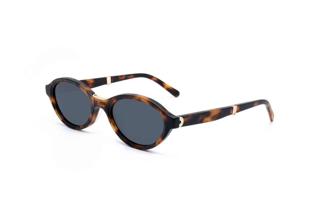 ADULT Foldable Sunglasses