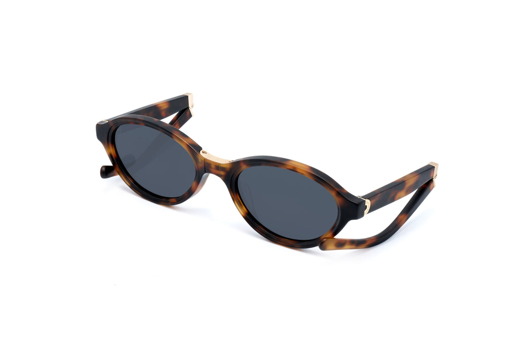 ADULT Foldable Sunglasses