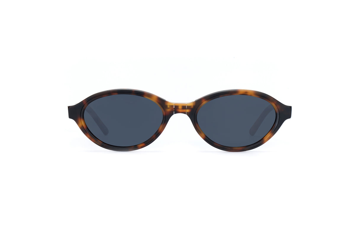 ADULT Foldable Sunglasses