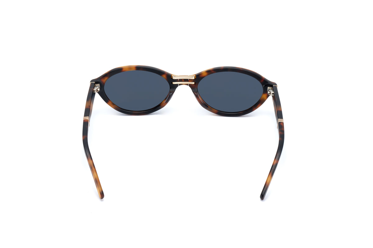 ADULT Foldable Sunglasses