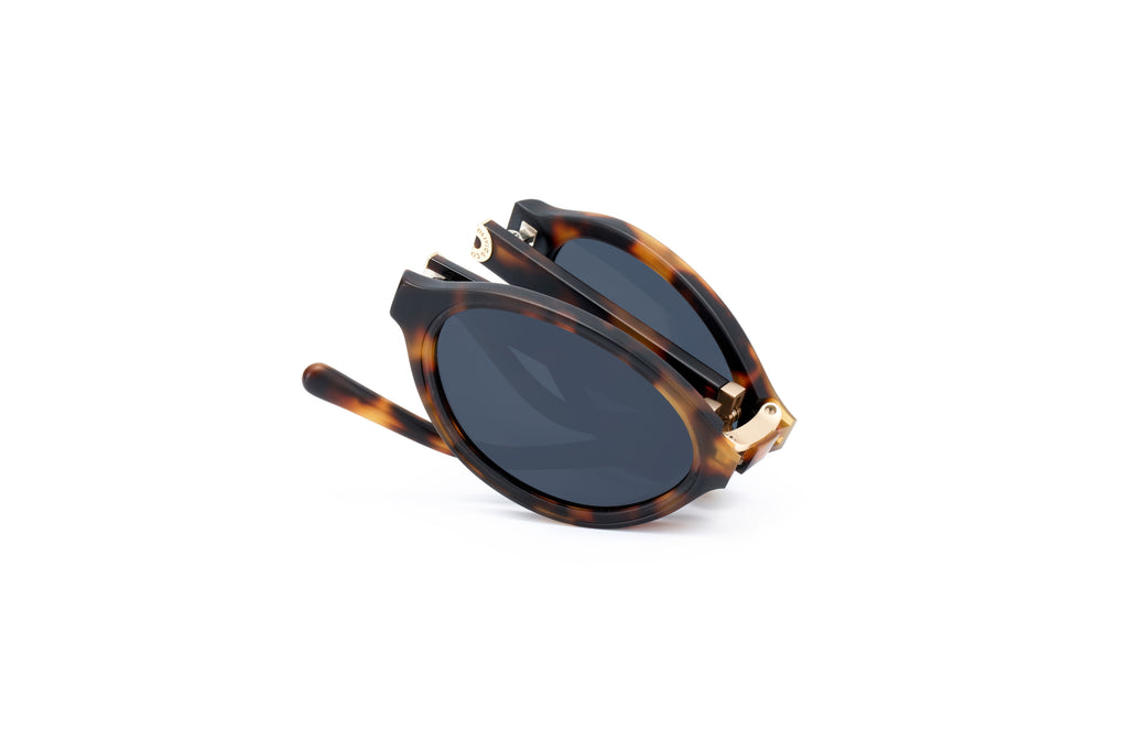 ADULT Foldable Sunglasses