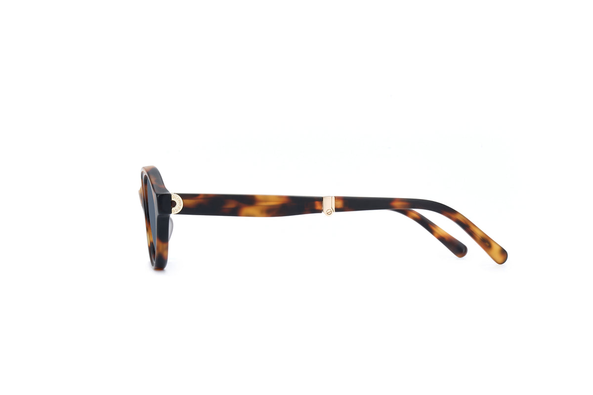 ADULT Foldable Sunglasses