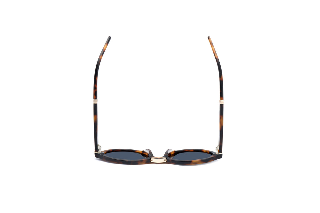 ADULT Foldable Sunglasses