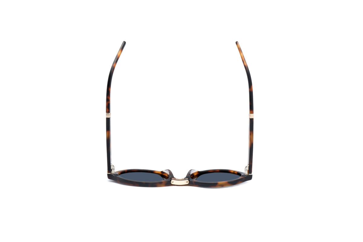 ADULT Foldable Sunglasses
