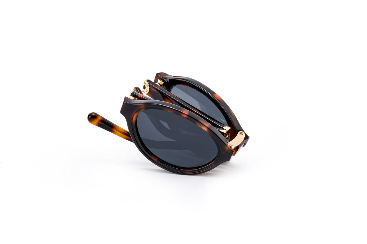 ADULT Foldable Sunglasses
